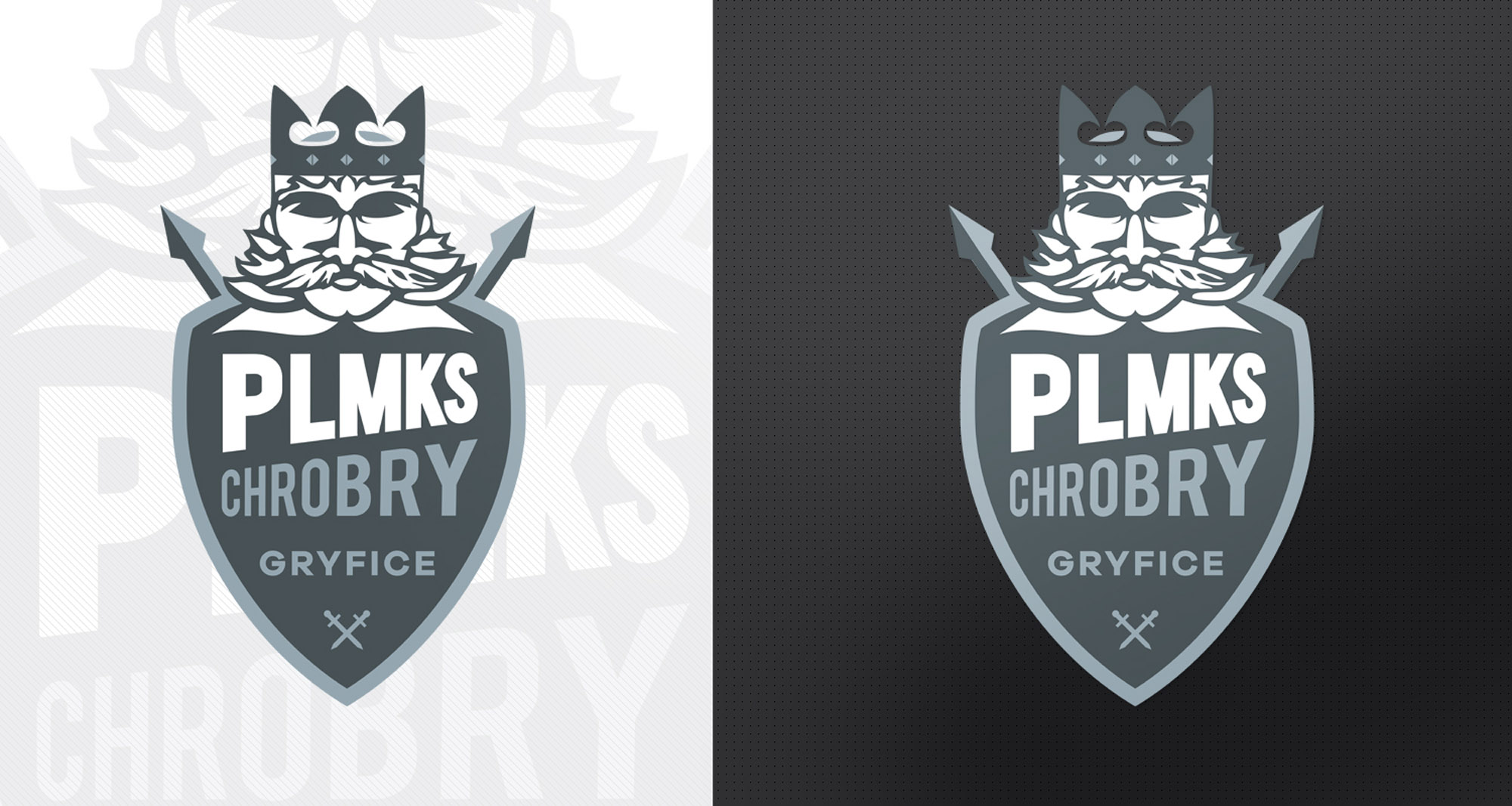 PLMKS Chrobry Gryfice - Klub Sportowy. Shadowart projekt logo.